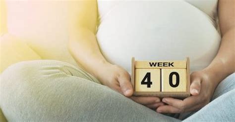 Estimated Due Dates And The Myth Of The 40 Week Pregnancy