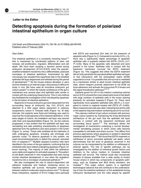 Pdf Detecting Apoptosis During The Formation Of Polarized Intestinal