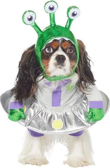 Chewy’s Halloween 2022 Dog Costumes Include Disney & Marvel Characters