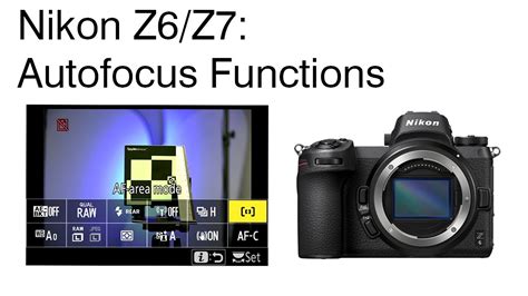 Nikon Z6z7 Autofocus Functions Youtube