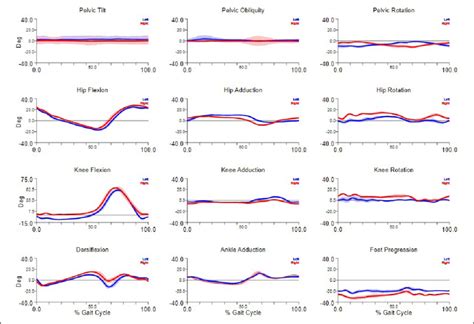 Joint Angles Of The Pelvis Hip Knee And Ankle Normalized To The Gait