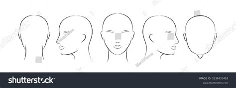 15 Head Guidelines For Barbershop Images, Stock Photos, 3D objects ...