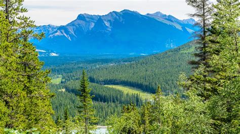 6 Calgary hiking trails with the best views within an hour of the city ...