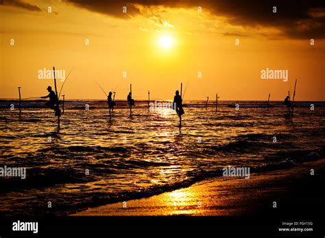 Las Siluetas De Los Pescadores Tradicionales De Zancudos Al Atardecer