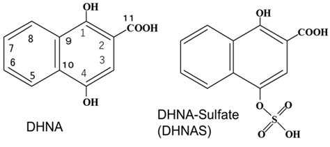 Figure 1 Structures Of DHNA And DHNAS 1 4 Dihydroxy 2 Naphthoic Acid