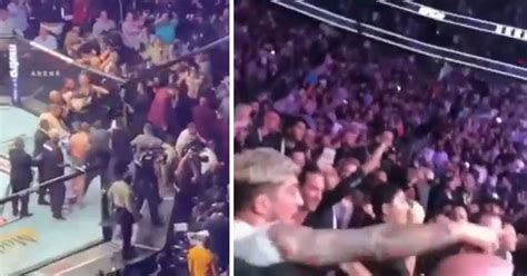 Insane Aftermath of Khabib vs McGregor Fight - Wow Video | eBaum's World