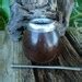 Mate Set Cbse Kilo Yerba Mate Gr Lbs Cbs Etsy