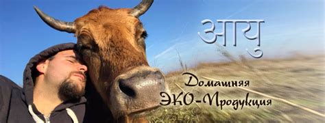Мини-мандра Габерово added a new photo. - Мини-мандра Габерово