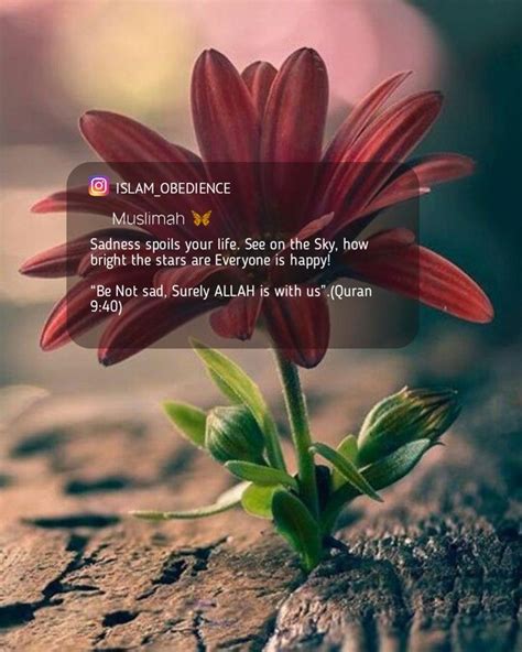 Islamic Quotes Instagram