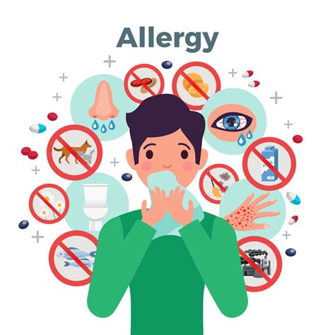 What Is An Allergy