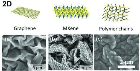 The D Material Morphology A Sem Images Of A Rgo Buckled Film B