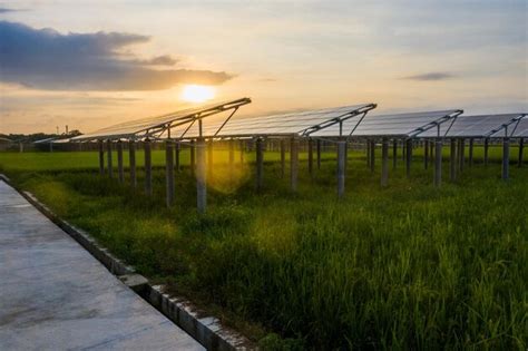 Carreteras Y Paneles Solares Foto Premium