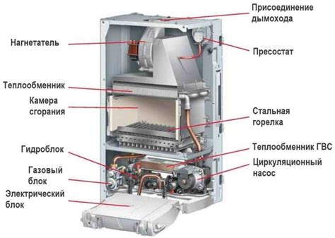 Принцип работы двухконтурного газового котла отопления Протерм