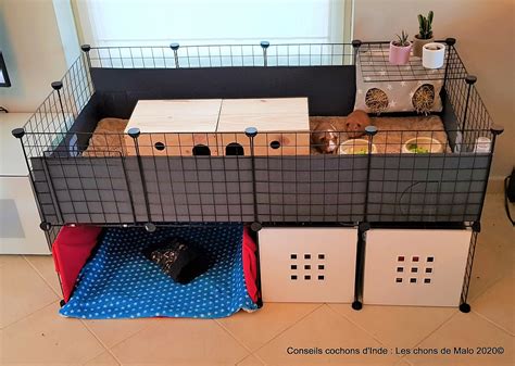 Cavy cage étagère modulable le nouvel habitat pour les cochons d inde