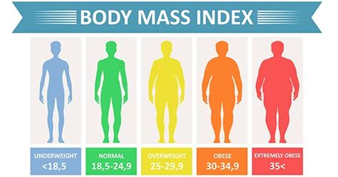 Bmi Chart Women Cdc Sionedmacie