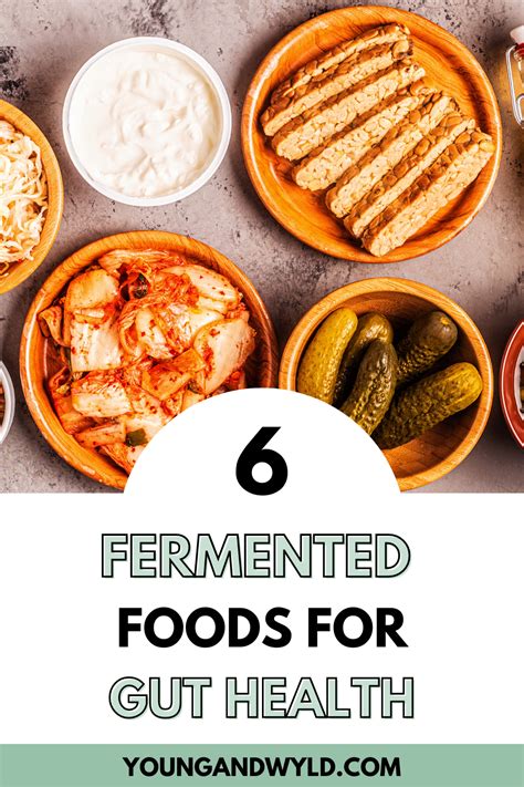 5 Best Fermented Foods For Gut Health Artofit