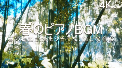 【4k】春の物語が始まりそうな、癒しの音楽 【癒しbgm】🌸 春のピアノbgm ☀️ 心温まるピアノ音楽 心が落ち着く音楽：癒しのピアノ