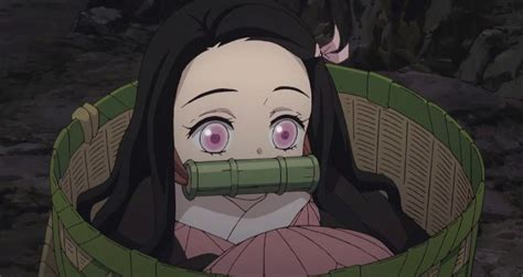 10 Reasons We Love Nezuko Kamado Cbr