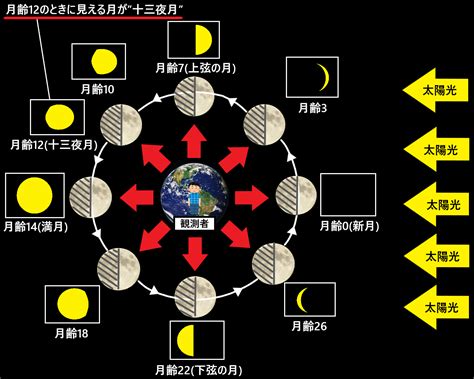 十三夜月とは？どんな形の月なのかを図で解説！