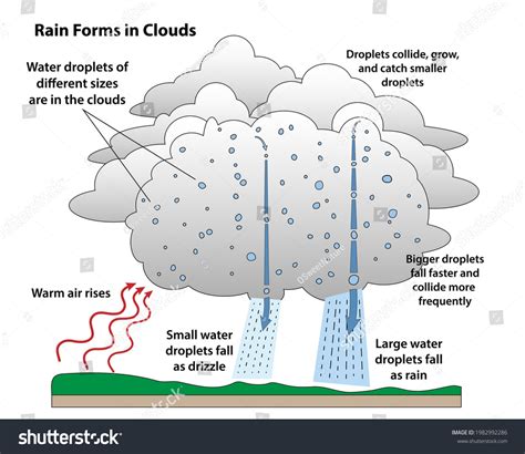 Rain Drop Formation Science Diagram How Stock Vector Royalty Free