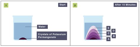 IGCSE Biology 2017 2 17 Practical Describe Experiments To