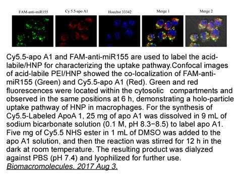 Cy Nhs Ester Non Sulfonated Reactive Fluorescence Dye