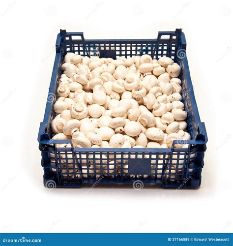 Plastic Crate Of Mushrooms Royalty Free Stock Images Image 27166589