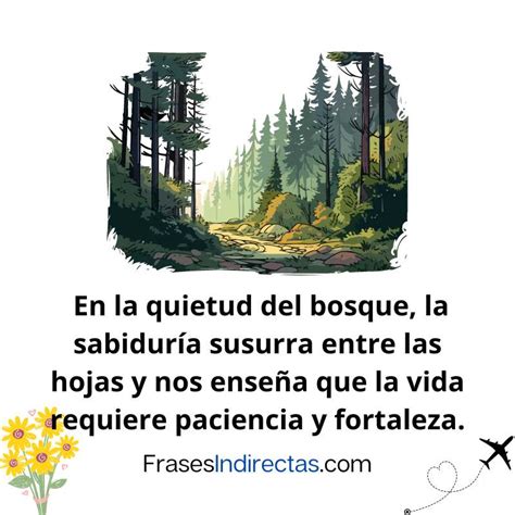 Frases De Rboles Que Ense An Sobre La Vida Y La Naturaleza Frases