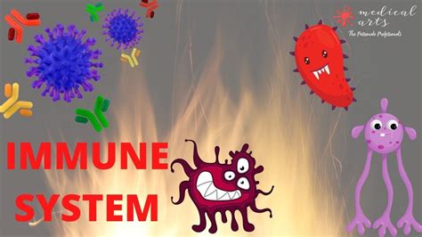 Immune System Animation - Specific and Non-Specific Immune Response ...