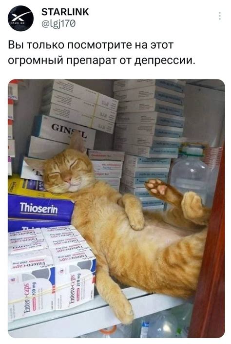 Препарат от депрессии | Пикабу