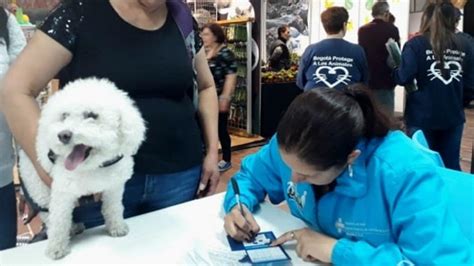 Secretaría de Salud intensifica vacunación para perros y gatos Bogota