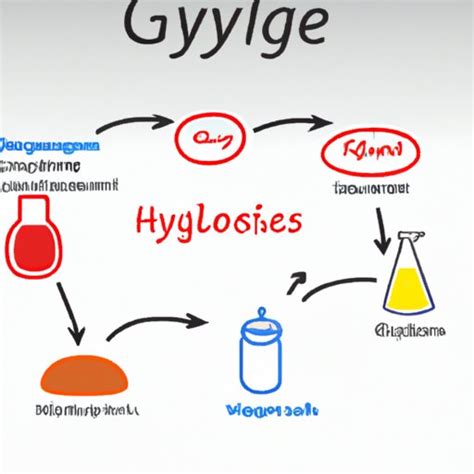 Exploring the Products of Glycolysis: A Comprehensive Guide to the ...