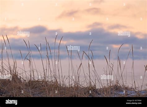 Winter Mist On Lake Superior Terrace Bay Ontario Canada Stock Photo