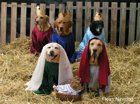 Humorous Funny And Cute Animal Photos 018 From All