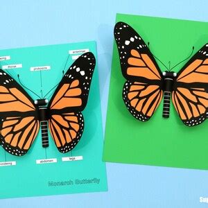 3D Monarch Butterfly Paper Craft Etsy