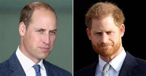 Harry And William S Joint Appearance At Diana S Event Lays Bare Depth