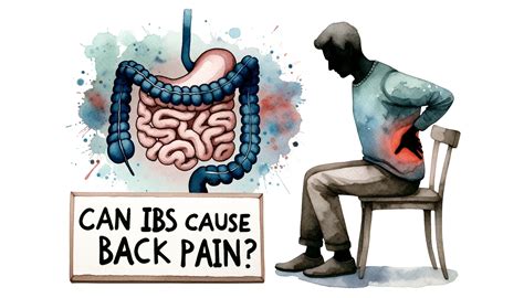 Can IBS Cause Back Pain Why Irritable Bowel Syndrome Causes Aching