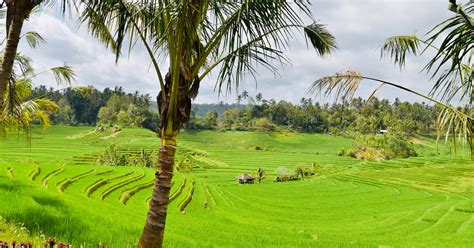 Tabanan Bali - All Things Need To Know Before Visiting Tabanan