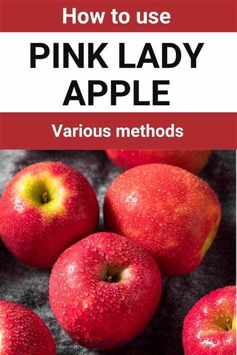 Pink Lady Apple 101 Nutrition Benefits How To Use Buy Store Pink