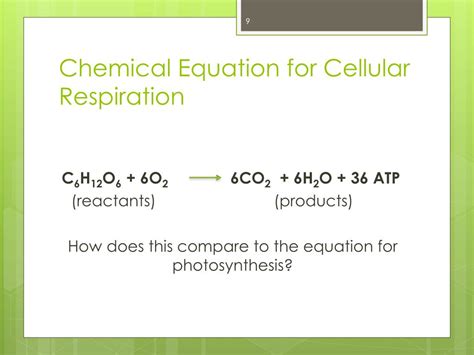 PPT - Cellular respiration PowerPoint Presentation, free download - ID ...