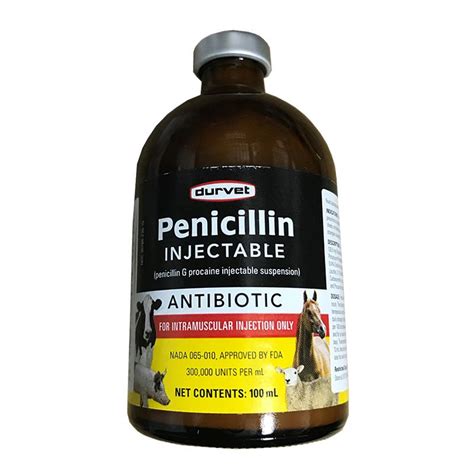 Durvet Penicillin Injectable (Penicillin G Procaine) | Allivet