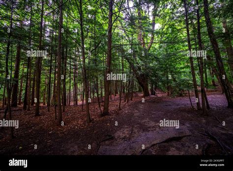 Chestnut Ridge Park Eternal Flame Falls Trail Stock Photo Alamy