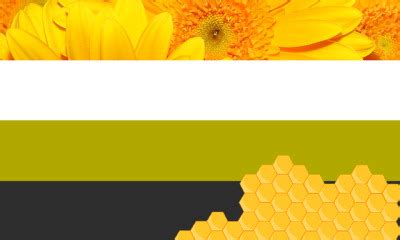 Bee Based Trans Enby And Gay Rainbow Flags Tumbex