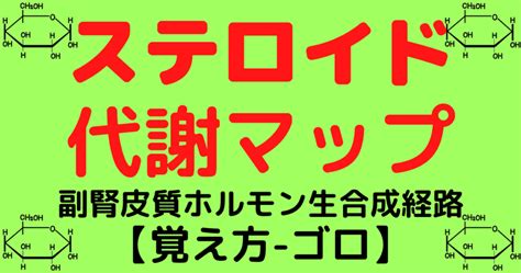 ステロイド代謝マップの覚え方・ゴロ【副腎皮質ホルモン生合成経路】 ゴロゴロ医学