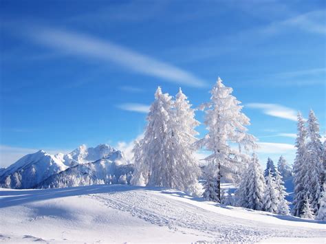 Sfondi Alberi Paesaggio Bianca Montagne Natura Cielo La Neve