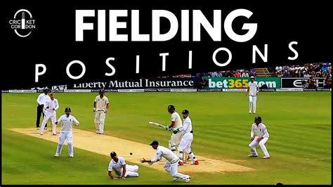 Ultimate Cricket Fielding Positions (All Cricket Field, 49% OFF