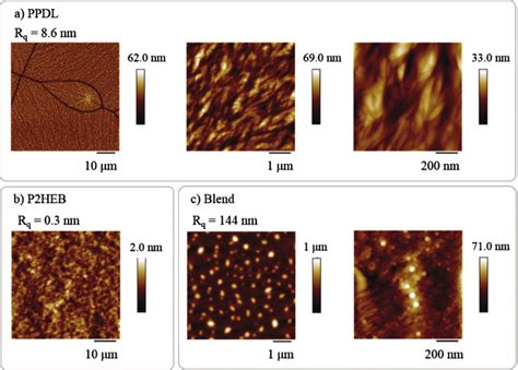 Afm Height Images And Roughness Of Polymer Films Made From A Ppdl And