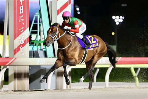 【帝王賞】キングズソードが交流g1・2勝目 競馬ニュースなら競馬のおはなし