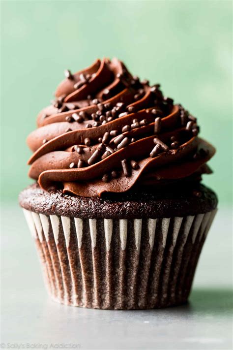 Classic Chocolate Cupcakes With Vanilla Frosting Sallys Baking Addiction