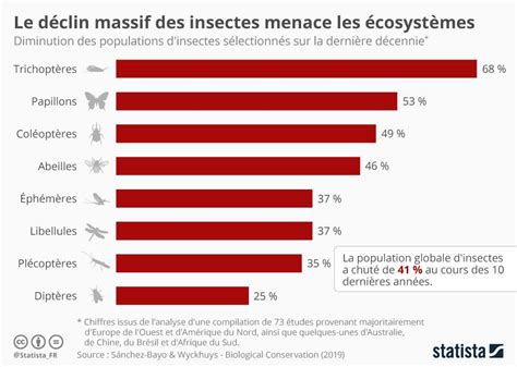 Idl Chez Esp Ces En Voie De Disparition